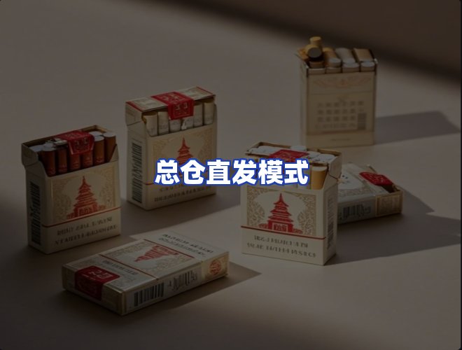 专业团队